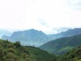 /album/fotogaleria/coyona-8-jpg/